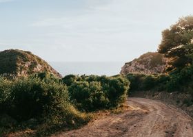 The Slow Coast